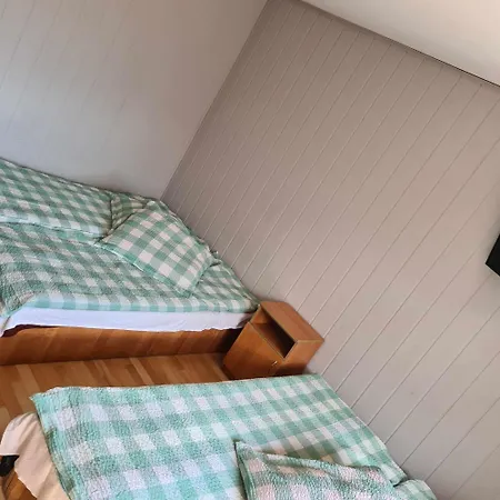 Mikus ホームステイ